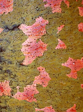 Textured background of microscopic glaze of Chinese ceramics tea cup
