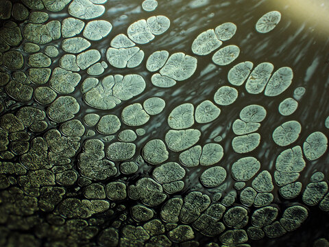 Textured background of microscopic glaze of Chinese ceramics tea cup
