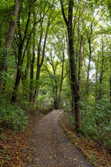 Autumn view of the Luitpold park near Olympic Park in Munich, Bavaria, Germany