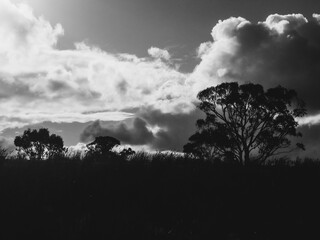 Landscape with clouds