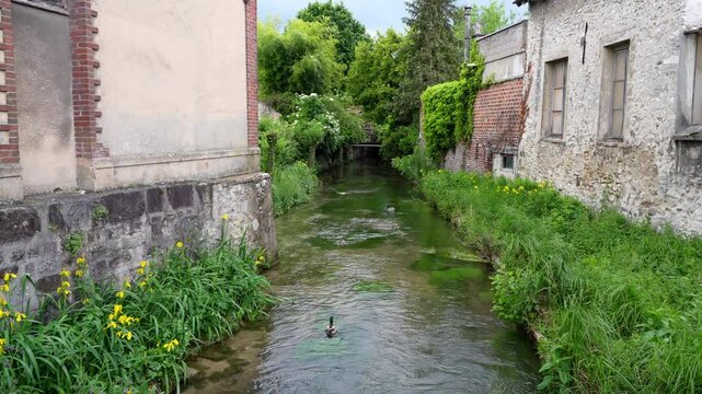 Provins, France - May 12, 2025: Beautiful river, Voulzie river, and ducks in Provins, France
