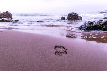 footprint and waves at the beach