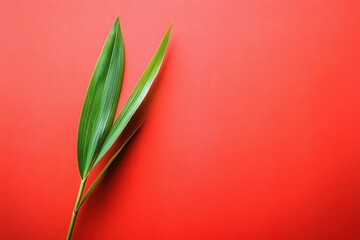 Obraz premium Vivid green leaves against a vibrant red background.