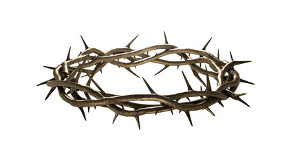 Fototapeta premium crown of thorns isolated on transparent background