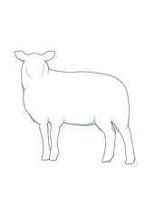 White Sheep Silhouette Illustration, Eid Al-Adha Qurban Sheep Illustration, Farm Animal Illustration for Educational and Agricultural Design.