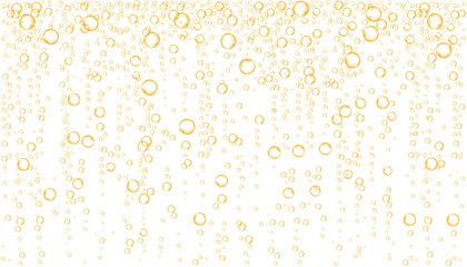 Champagne., orange sparkling water or beer.