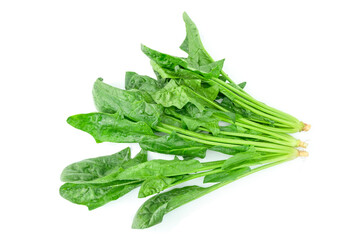 fresh spinach leaves isolated, Group of fresh Spinach (Spinacia oleracea) isolated on white background top view flat lay stacking