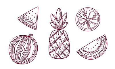 Hand-drawn fruit set in sketch style. Watermelon, lemon, and pineapple outline. Engraving summer fruit for labels, cards, or decorations. Vector illustration