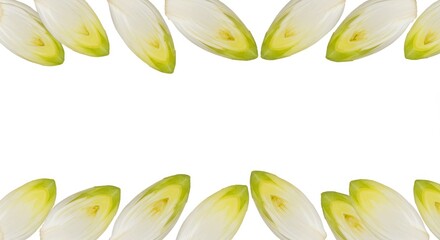 Fototapeta premium Endive frame creating a vibrant border for culinary presentations and artistic designs