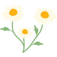 Handdrawn Daisy Flower Decoration