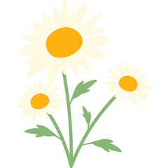 Handdrawn Daisy Flower Decoration