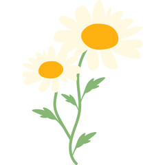 Fototapeta premium Handdrawn Daisy Flower Decoration