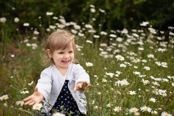 A cheerful young girl going through the daisy field.