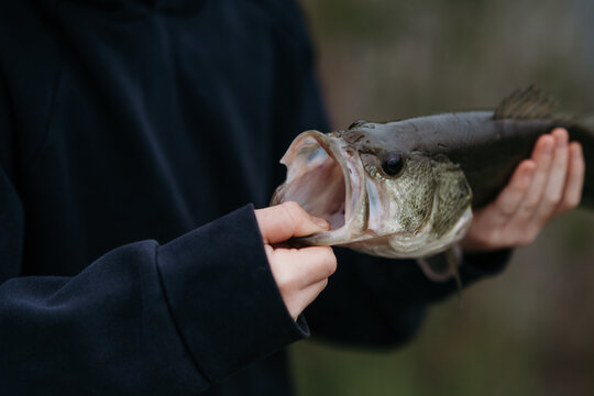 Closeup of child holding largemouth bass by open mouth