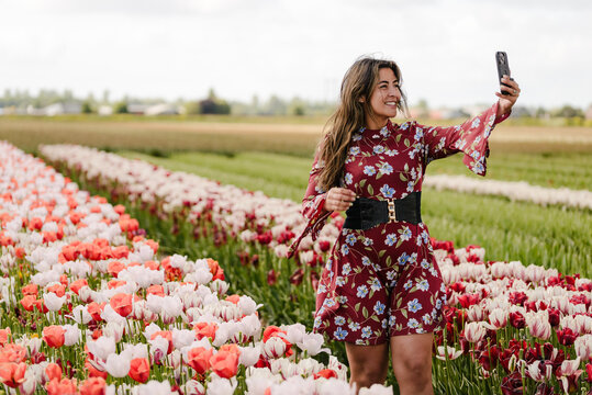 Tourist Taking Photo in Red and White Tulip Fields in the Netherlands