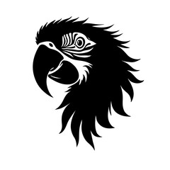 head of a eagle
