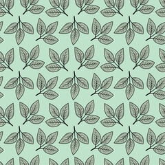 Elegant seamless pattern of stylized leaves on a mint green background.  Perfect for textile design, wallpaper, or website backgrounds.