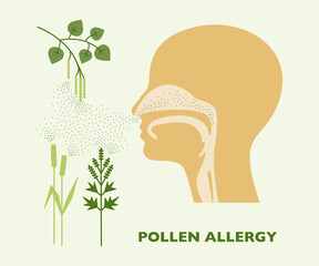 Pollen allergy vector illustration, human head silhouette with pollinating plants.