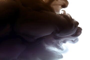 Obraz premium Ink cloud swirling into light background