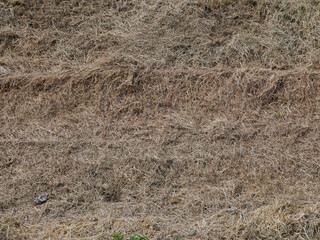 brown straw texture background