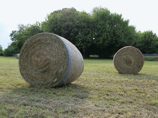 hay bales in lawn