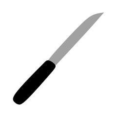 small kitchen knife isolated vector