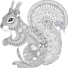 hand drawn vector illustration of  a squreel 