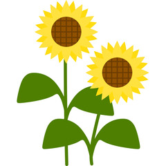 Hand Drawn Sunflower