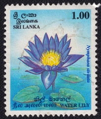 Water lily flower on a 1995 Sri Lanka postage stamp