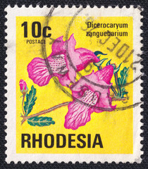 Devil thorn Dicerocarym zanguebarium flower on a 1974 Rhodesia postage stamp