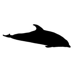 Dolphin Swimming Silhouette