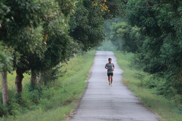 Obraz premium Runner on a paved path, trees line the way