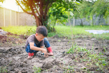 A 5-year-old Asian boy wearing boots plays with muddy soil in the backyard garden. He is focused and enjoying hands-on outdoor exploration, expressing creativity and natural sensory development