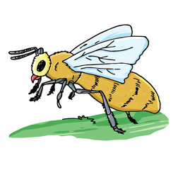 Cute cartoon hand drawn vector honey bee clipart.
