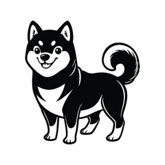 Obraz premium Adorable black and white shiba inu dog standing with a happy smiling expression