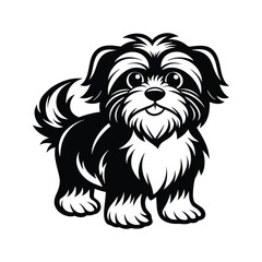 Adorable black and white shih tzu dog vector illustration for various design projects