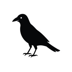 crow silhouette 