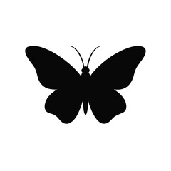 Butterfly silhouette
