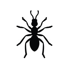 Ant silhouette
