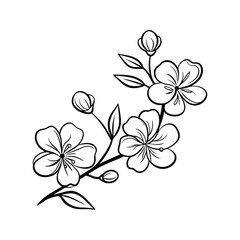 Elegant black and white floral branch illustration depicting blooming flowers and buds