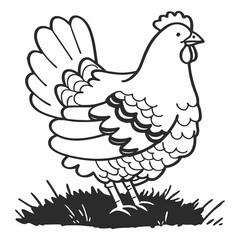 Hand drawn black and white illustration of a hen in grass