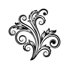 Fototapeta premium Elegant black and white floral scroll design for decorative elements and graphic design
