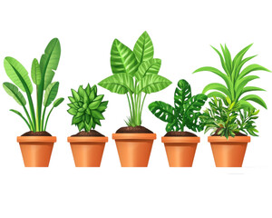 Obraz premium Houseplants png ornamental plant png leafy houseplant png tropical decor png green indoor plant png home living plant png transparent background image