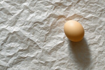 Single egg resting on textured paper pulp carton with natural lighting and soft shadows
