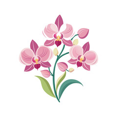 Elegant vector illustration of a beautiful pink orchid branch with blooming flowers and buds