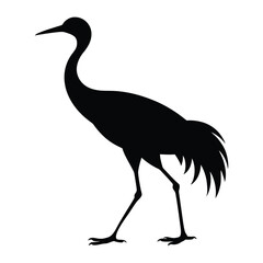 Obraz premium Crane Standing with One Leg