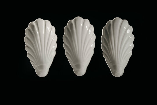Shell Dish Trio