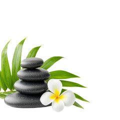 Black massage stones stacked next to palm leaves and a white-yellow plumeria flower, isolated on white, symbolizing wellness and relaxation
