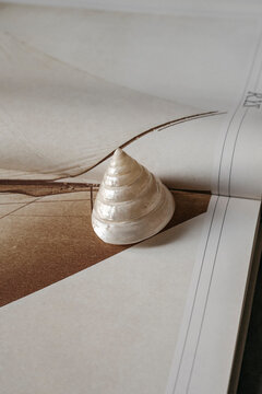 Shell
