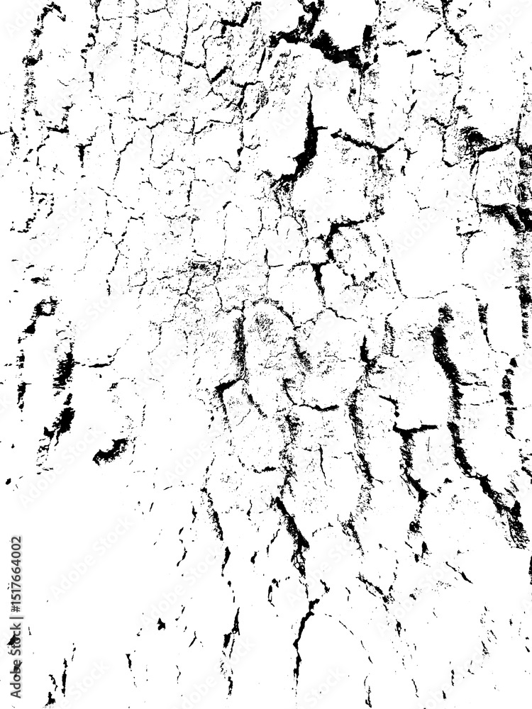 Poster abstract grunge black and white distressed texture overlay effect design element, noise background